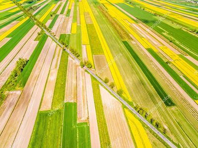 Champs en lignes vus du ciel symbolisant la vue d'ensemble apportée par Wikidébats