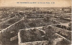Carte postale d'époque montrant les clos des murs à pêches de Montreuil